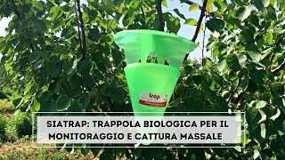 Trappola bio per il monitoraggio e cattura massale di rodilegno rosso e processionaria del pino [upl. by Kentiga479]