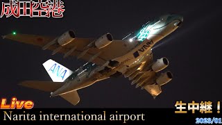 【Narita International Airport Live 】成田空港 生中継📸✈️💨】【Gibson Narita】 [upl. by Ellertnom]