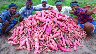 FARM FRESH SWEET POTATOES Harvesting amp Cooking  Sakkaravalli Kilangu Kuzhi Paniyaram Recipe Cooking [upl. by Deerc416]