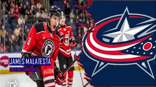 James Malatesta  Columbus Blue Jacket Prospect  Quebec Remparts Highlights [upl. by Yecies]