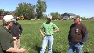 Rye As a Cover Crop  Drill Seeding [upl. by Crocker14]