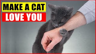 10 Scientific Ways to Get a Cat to Like You [upl. by Dianemarie]