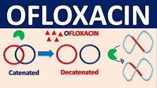 Ofloxacin  Mechanism side effects precautions interactions amp uses [upl. by Woods]