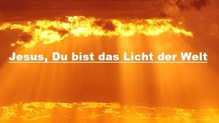 bibelverse jesuschristus zitate sprüche Bibelvers Johannes Dank sei Dir Jesus Christus Amen [upl. by Ellenwad919]