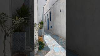 Medina Hammamet Tunisia 🇹🇳 hammamet tunisia tunesien تونس [upl. by Rosalinde]