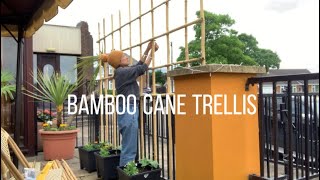 A quick and easy way to build the bamboo cane trellis on the railing [upl. by Byrd]