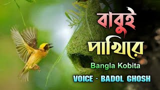 বাবুই পাখিরে ডাকিয়া। Bangla Khup Sundor Akta Kobita  Voice Artist Badol Ghosh [upl. by Cecilio]