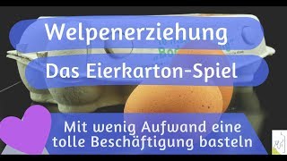 Mein lieber Hund  Toller Tipp zur sinnvollen Beschäftigung vom Hund [upl. by Aicatan8]