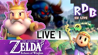 Ce nouveau Zelda a un Gameplay INCROYABLE  Live  Zelda Echoes of Wisdom 100 [upl. by Babbie234]