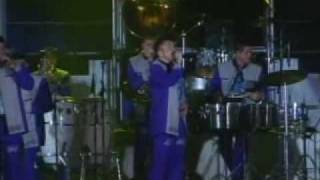 Arrolladora Banda El Limon  Tu Nuevo Cariñito [upl. by Kaile]