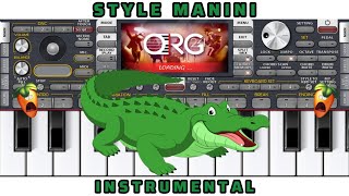 Style Manini Sehar ORG 24 Instrumental Rai [upl. by Farrah]