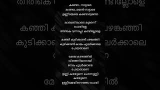 കണ്ടോ നട്ടാരെ kando nattare lyrics malayalam manichettan songs trending [upl. by Neeruam526]