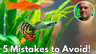 Guppy Keeping Fails Learn from These 5 Common Mistakes [upl. by Isaiah]