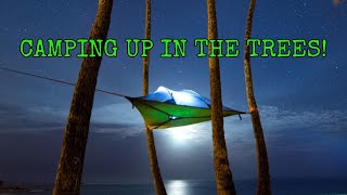 Tentsile Stingray Our First Tree Tent Camping Experience [upl. by Briano924]