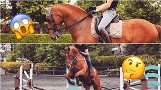 DRESSAGE HORSE TRIES SHOWJUMPING  MATT HARNACKE  PART 2 [upl. by Notgnimer]