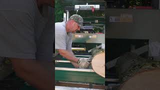 Building a Sawmill Shed Alone shorts [upl. by Saitam]