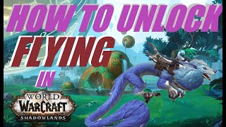 How to Unlock Flying in WoW Shadowlands quotThe Last Sigilquot Quest line in Korthia [upl. by Maccarone884]