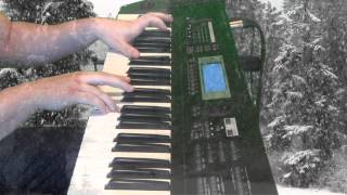 Borjan  Land Of Snow And Sorrow Wintersun Piano Cover [upl. by Nadbus539]