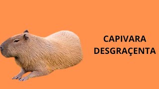 PARABENS VOCE CONSEGUIU CAPIVARA [upl. by Hedwig]