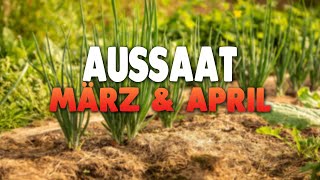 AUSSAAT im März amp April  Gartenzeit [upl. by Delora532]