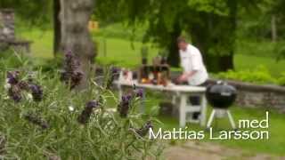 Sommargrill med Mattias Larsson  Grilla hel entrecote med indirekt grillning [upl. by Ulita]