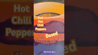 Red Hot Chili Peppers Dosed art music shortsfeed rhcp shorts dosed short [upl. by Ardnas474]