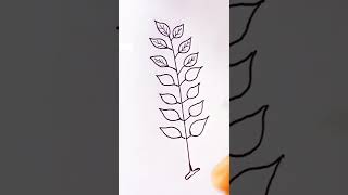 How do you draw pinnately compound leaf [upl. by Harp]