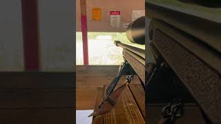 Suppressed Bergara HMR 65 Creedmoor  Dead Air Sandman S [upl. by Eenhpad687]