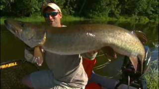 Top 5 Small River Musky Baits [upl. by Kobi]