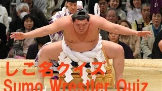 【大相撲】 しこ名クイズ  Sumo wrestler Quiz [upl. by Nesilla456]