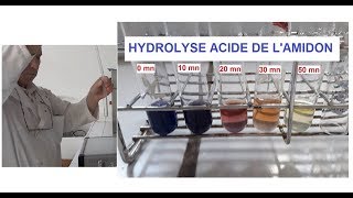 Hydrolyse acide et à chaud de lamidon TP [upl. by Jorin]