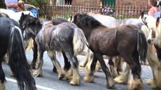 Appleby Horse Fair  2013 [upl. by Aneema]