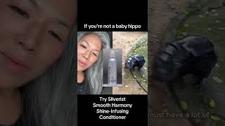 For those of us who are not baby hippos 🦛 you can still infuse your silver strands with shine [upl. by Secor130]