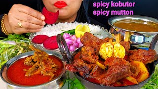 ASMRSpicy Mutton Lal Lal Patla JholSpicy Kobutorer JholMashkalai DalZAKIASPICY ASMR [upl. by Leilah]