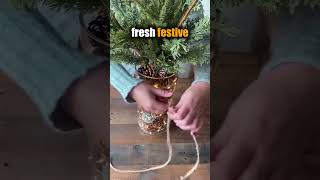 Easy DIY Christmas Vase Decoration in 30 Seconds 🎄✨ [upl. by Arreip75]