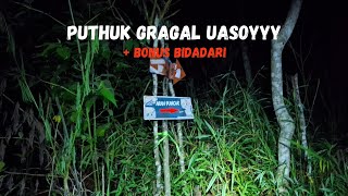 Uasoyyy bonus bidadari  Puthuk Gragal Ekspedisi Langit Mendung 2 [upl. by Eceinehs]