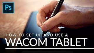 How to Set Up and Use a Wacom Tablet [upl. by Ilahsiav]