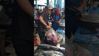 TUNA CUTTING SHOW 🔥🔪 Tuna Fish Cutting Market shorts fishcutting tunacutting foodnskillsindo [upl. by Fransis]