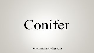 How To Say Conifer [upl. by Tiduj]