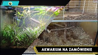 Akwarium Na Zamówienie [upl. by Bratton982]