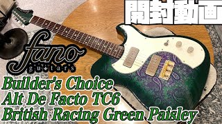 開封の儀！fano guitars Alt De Facto TC6 British Green Paisley【商品紹介Guitar Planet】 [upl. by Oilla985]