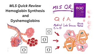 Hemoglobin Synthesis and Dyshemoglobins [upl. by Aidne218]