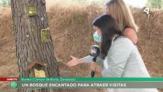 El bosque encantado de Bureta que atrae a los más curiosos [upl. by Hemphill]