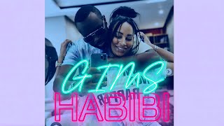 GIMS  HABIBI Prod Shei Beats [upl. by Burkle]