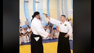 Steven Seagal Aikido One Of The Best Aikido Demonstration To Self Defense [upl. by Ecirtak843]