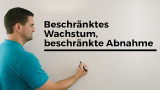 Beschränktes Wachstum beschränkte Abnahme  Mathe by Daniel Jung [upl. by Drolyag643]