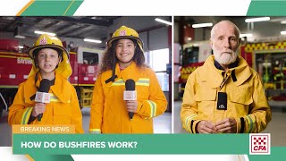 How do bushfires work [upl. by Nelo]