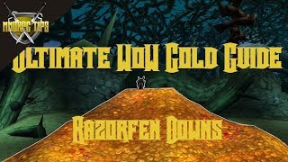 Razorfen Downs Gold Farming  The Ultimate WoW Gold Guide [upl. by Richella220]