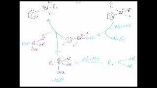 The Suzuki reaction Reaction mechanism chemistry tutorial [upl. by Francene]