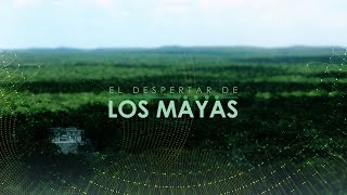 El despertar de los mayas [upl. by Idnal]